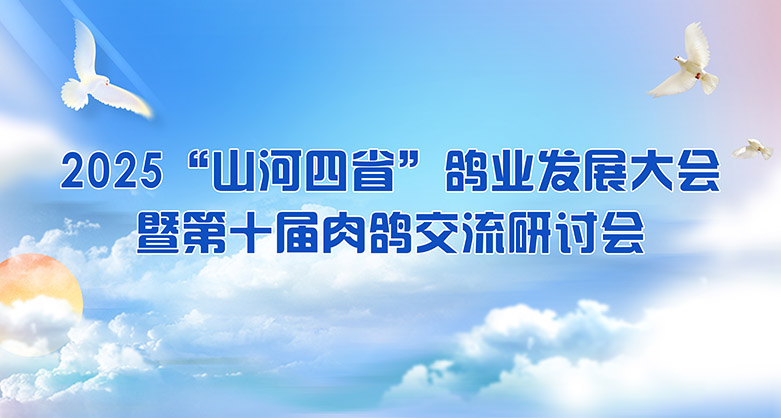 關(guān)于舉辦2025“山河四省”鴿業(yè)發(fā)展大會暨第十屆肉鴿交流研討會的通知